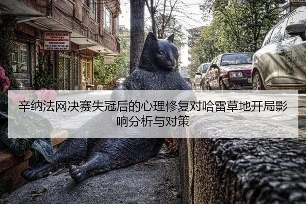 xin-na-fa-wang-jue-sai-shi-guan-hou-de-xin-li-xiu-fu-dui-ha-lei-cao-di-kai-ju-ying-xiang-fen-xi-yu-dui-ce-2-704.jpg